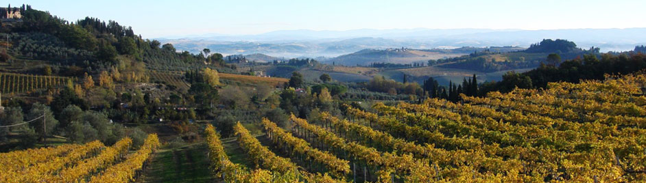  Florence, Sienne, Chianti (Toscane, Italie) 1:50.000