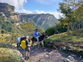 The Amalfi Coast & Mountains