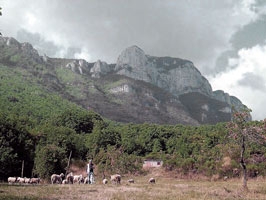 The Heart of the Cilento National Park ( 11 days )