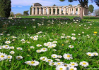 Paestum & the amazing landscapes of the Cilento National Park - BCIL