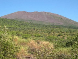 Naples, Vesuvius & Campi Flegrei (City Break)