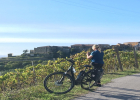 Il 'Cilento Antico' tra Velia ed il Monte Stella (sulle tracce della 'Via Silente')