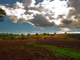 Walking the Via Francigena in Tuscany: from Lucca to Siena